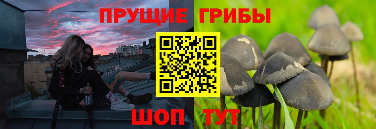 Галлюциногенные грибы MAGIC MUSHROOMS Волоколамск